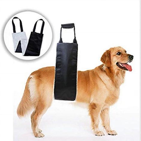 Filiyano-Harnais pour chien, harnais pour chien handicapé avec poignée, harnais moyen pour chien, harnais ajustable pour chiens handicapés, blessés ou (1/5)