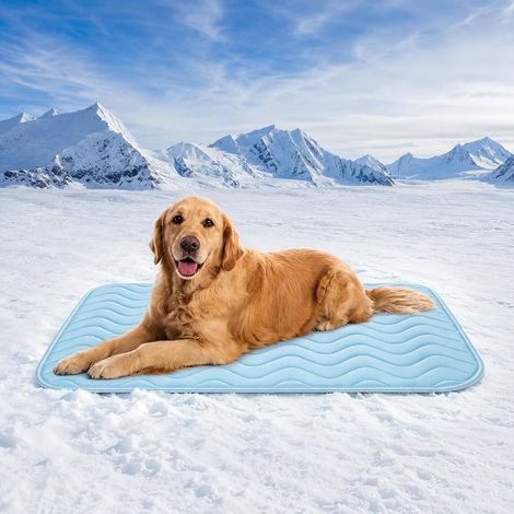 Tapis Frais pour Chien, Matelas Rafraîchissant Respirant Antidérapant pour Été et Voyage-Bleu-100x70cm (1/5)