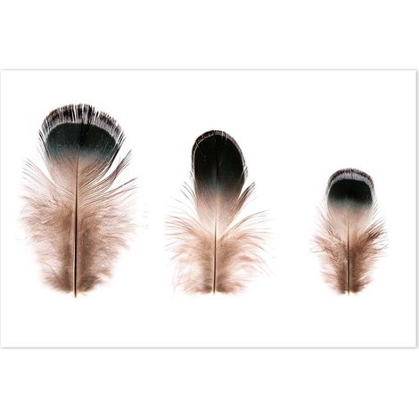Affiche 3 petites plumes - 60x40cm - made in France (1/5)