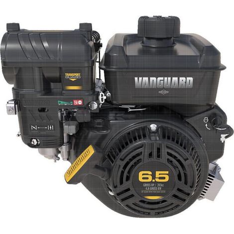 Moteur BRIGGS & STRATTON 12V3370009F1 (1/3)
