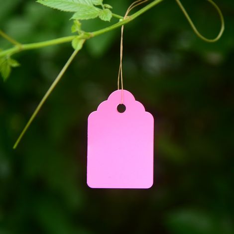 200 étiquettes et marqueurs pour plantes, petits outils et fournitures de jardinage (1/5)