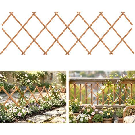 Tuteur extensible en bois pour plantes grimpantes, rosiers et vignes, 180 x 60 cm, marron clair (1/4)
