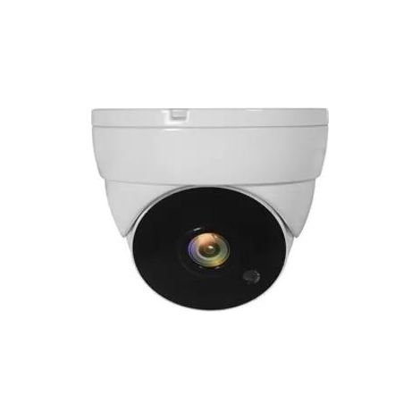 Level ACS-5302 Caméra de sécurité blanche dôme