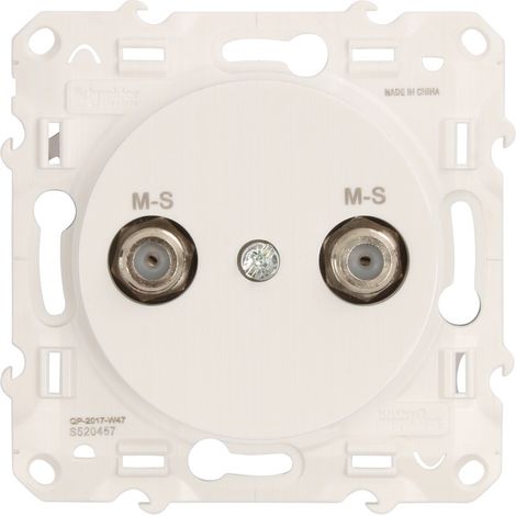 Steckdose Schneider Odace mit Schraubklemmen und IP21