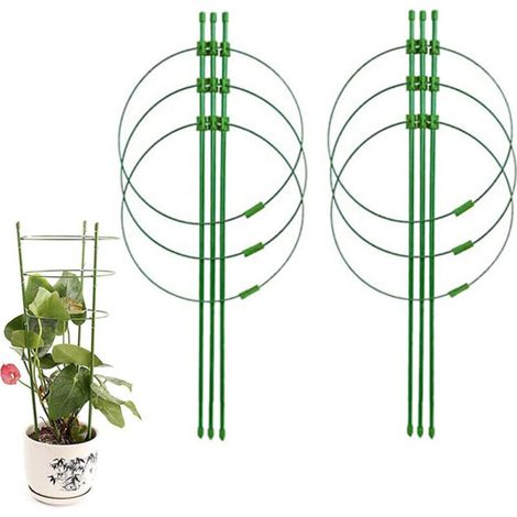 Lot de 2 cages à tomates, cages à fleurs de 45 cm, tuteurs de support pour plantes à tige unique pour fleurs d'amaryllis, tuteur pour plantes (1/5)