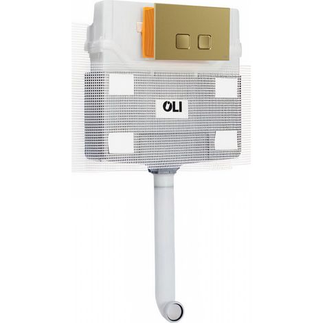 OLI 120 Plus Mechanical Mid Height Concealed Cistern and Basal Brushed Brass Soft Touch Dual Flush Plate with Square Push Buttons (1/3)