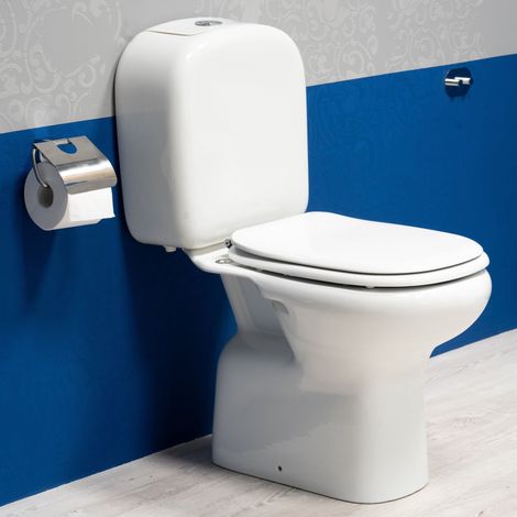 WC monoblocco con cassetta copriwc incluso serie Orient (1/4)