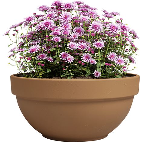 Artevasi Pflanzschale Amália Campana Terrakotta tonrot Ø 35 x 16 cm