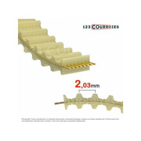 Courroie double dentée polyuréthane 160DMXL012-PU