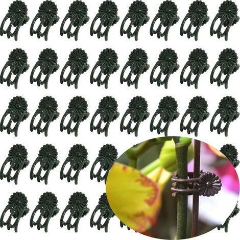 50 clip per piante, clip di supporto in plastica per orchidee, piccoli fiori, piante rampicanti, adatte per interni, esterni, giardino, piante in vaso (Verde) (1/5)