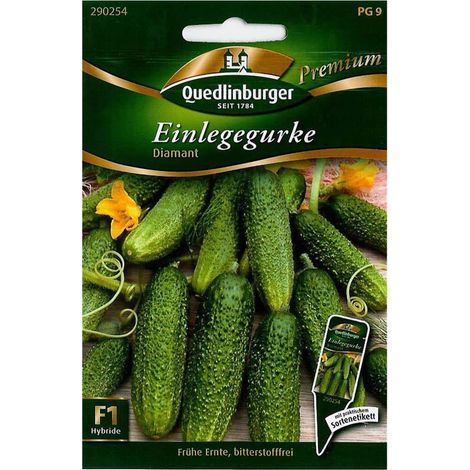 Quedlinburger Einlegegurke Diamant - Gemüsesamen (1/2)