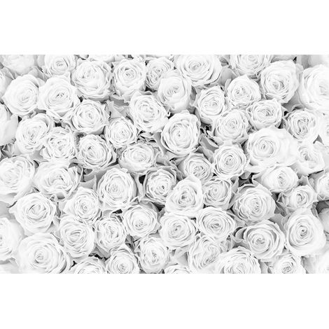Papier peint panoramique floral blanc romantique | Tapisserie panoramique fleurie salon | Papier peint panoramique 3D motif rose pour chambre adulte - 267 x 400 cm (4 pièces) (1/2)