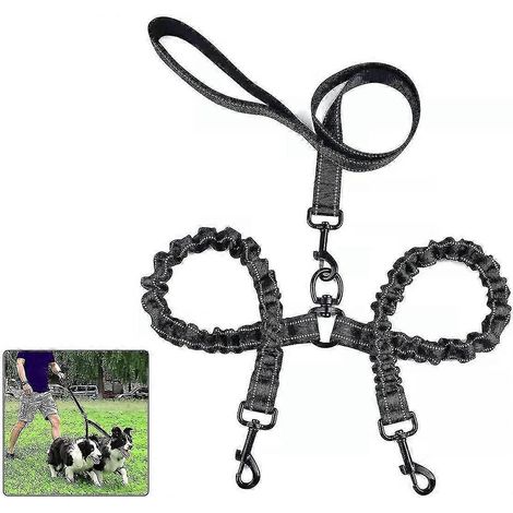 Laisse double anti-nœuds à 360° pour 2 chiens (1/3)