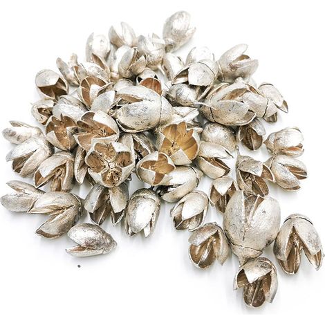 Bakuli argentato - frutta secca esotica - 100 g