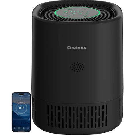 Purificador de aire, filtro HEPA H13, control inteligente, negro, WiFi, 1,5 kg (1/2)