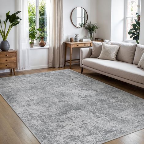 Tapis Salon Résumé 120x170cm Lavable en Machine Rug AntidéRapant Poil Ras, pour Chambre Salle a Manger Descente de Lit Bureau, Cuisine, Gris Clair (1/5)