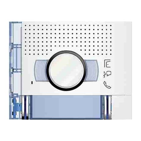 BTI351222 Standard-A/V-Frontplatte mit 2 Tasten