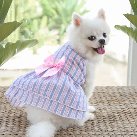 Robe Pour Chien - Jupe Pour Animal De Compagnie En Polyester - Rouge - Taille XL (50x40 cm) - Pour Chiens Petits À Moyens - 1 Pièce (1/5)