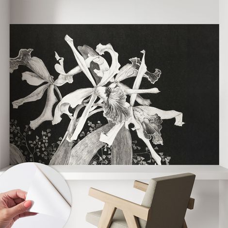 Papier peint adhésif autocollant pour salon chambre à coucher peint imprimé pour mur Illustration d'orchidée 104x70 cm (1/5)