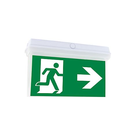 Luz de emergencia  V-LUX TOP  versión con batería NiCd 3,6 V /