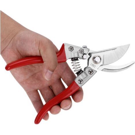 8 Inch Garden Scissors with Coated Handle for Pruning Fruits and Branches - (1/2)