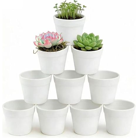 White Small Plant Pots, Plastic Plant Pots, Cactus Succulent Plants Flowers Herbs 7cm x 6cm (1/5)