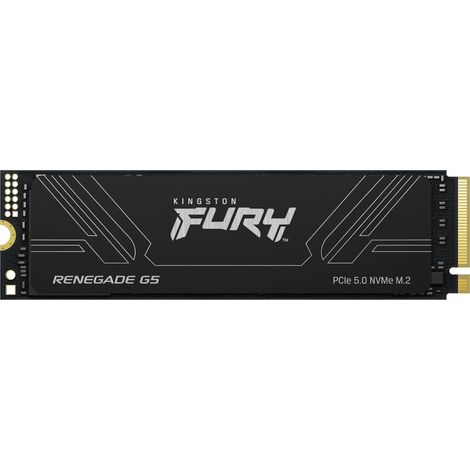 Kingston Technology 1T FURY RENEGADE G5 M.2 2280 NVMe SSD (1/4)
