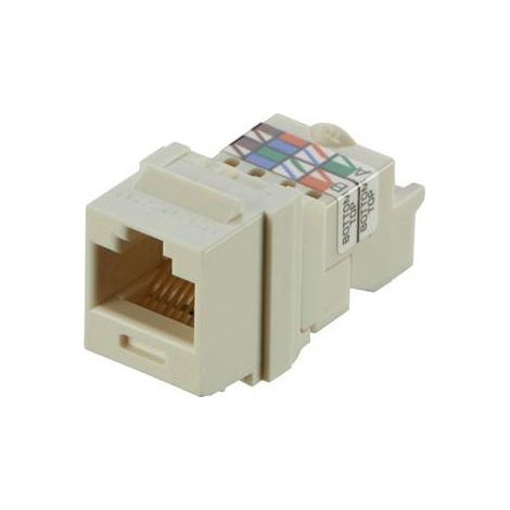 Panduit NK6TMIW Module Keystone