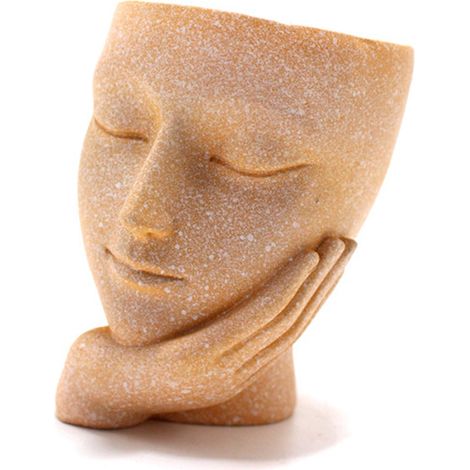 Ornement de pot de fleurs en forme de visage, plante succulente en résine innovante pour bureau, décorations de paysage (1/5)