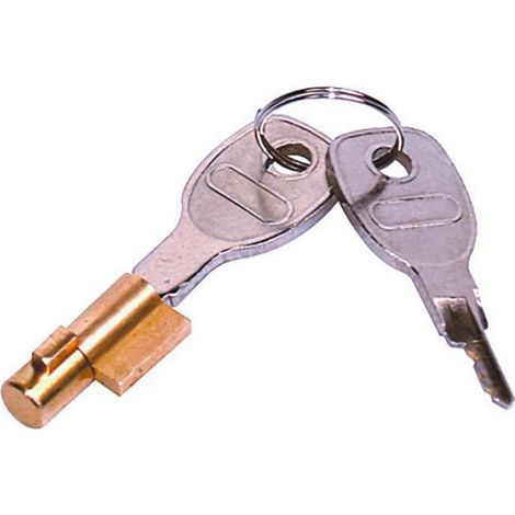 Barrillet Serrure Antivol Pour Tete D Attelage Ref 31041 Et 242411 (1/2)
