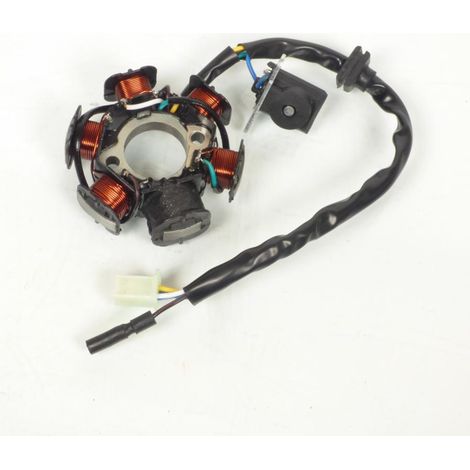 Lichtmaschine Zündungsstator für Roller sym 50 mio 4t 2005-2016 (1/4)