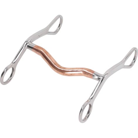 Mors de bride en acier inoxydable pour chevaux, résistant à l'usure et à la corrosion, idéal pour la ferme. (1/5)