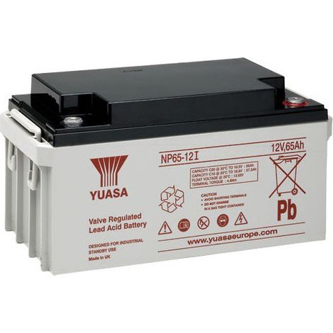 Batterie plomb étanche NP65-12 Yuasa 12V 65ah