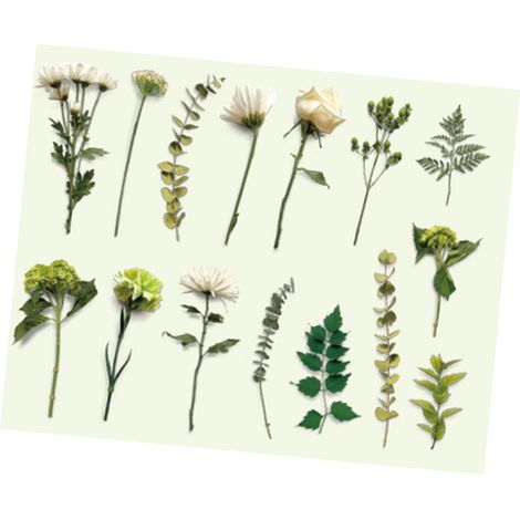 30 autocollants vintage de plantes, fleurs et feuilles, style rétro, pour ordinateur portable, scrapbooking, journal, agenda et création de cartes. Thème : brume de montagne. (1/5)