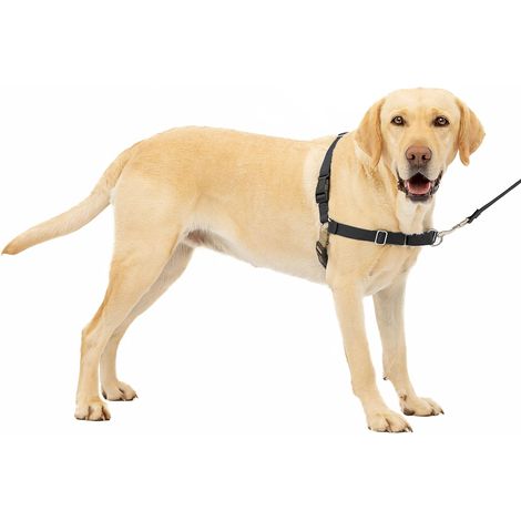 Arnés Easy Walk + correa de 1,8 m, antitirones, ajuste de 4 puntos, cómodo, fácil de poner (L, negro) (1/4)
