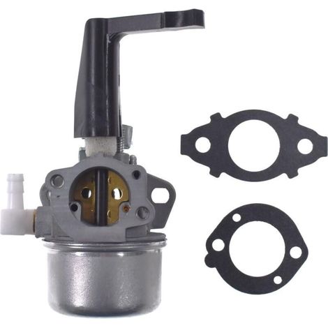 Carburateur - Pour Moteur Horizontal Briggs Stratton 110402 110412 - Kit Joint Inclus - 1 Pièce (1/3)