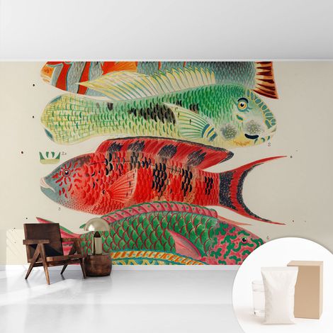 Papier peint intissé mural avec imprimé pour décoration pour salon pour chambre à coucher pour entrée Poissons exotiques 416x254 cm (1/5)