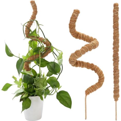 Set de 10 Tiges en Coco Flexibles 40cm - Supports pour Plantes Grimpantes, Tuteur en Mousse pour Monstera, Lierre, Jardinage - Alovez