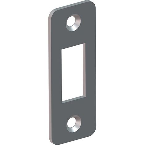 Portac – Gâche réversible rectangle en inox pour serrure à encastrer – Gâche inoxydable à visser ou riveter – Pour portail