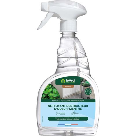 Der Echte Pro Maison Reinigungs- und Duftmittel Minze Farblos