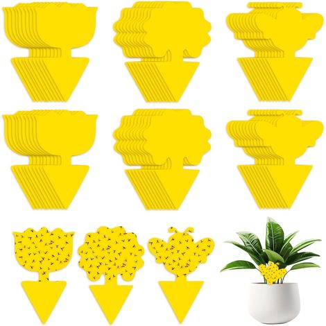60 Pièges Anti Moucherons Interieur, Attrape Mouche Interieur Jaunes, Anti Pucerons Plantes Exterieur Attrape Mouche Collant pour la Lutte Contre Les Parasites des Plantes D'intérieur (1/5)