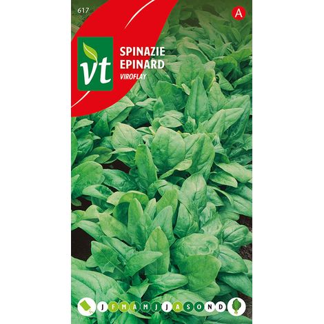 Épinard Viroflay - Ca. 14 gr (Livraison Gratuite) (1/2)