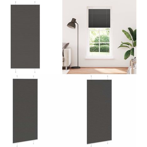 vidaXL Plissee Schwarz 100x200 cm Stoffbreite 99,4 cm Polyester (1/5)