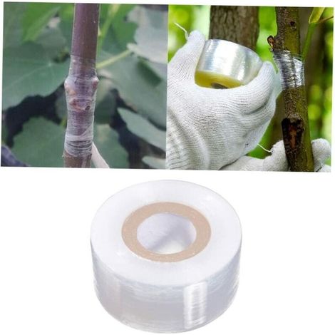 Bande greffer Auto-adhsive Arbre fruitier Film de greffe Transparent Accessoires pour Outils de Jardinage(4cm) (1/5)