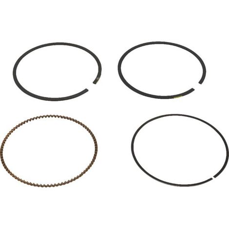 Set segmenti standard BRIGGS ET STRATTON 791787