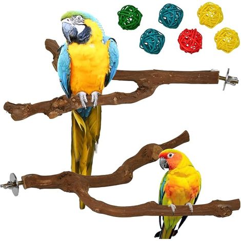 Wood Perches + Rattan Balls Chew Toys for Birds Cage Accessories for Parakeets, Cockatiels, Parrots (1/5)