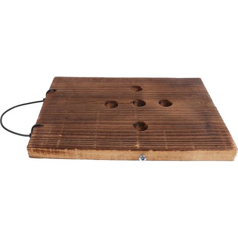 Suspendue en Bois Massif pour Plantes piphytes Panneau (1/5)