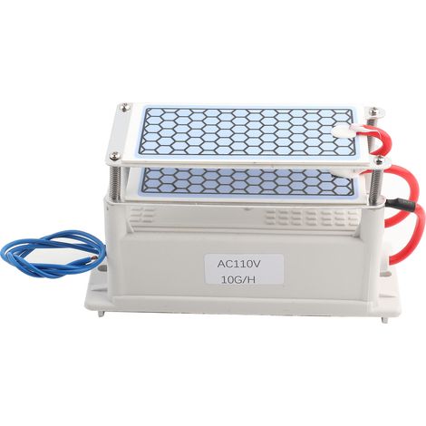 Générateur d'ozone 10g AC110V pour maison, purificateur d'air désodorisant, nettoyage des odeurs, assainisseur intégré (1/5)