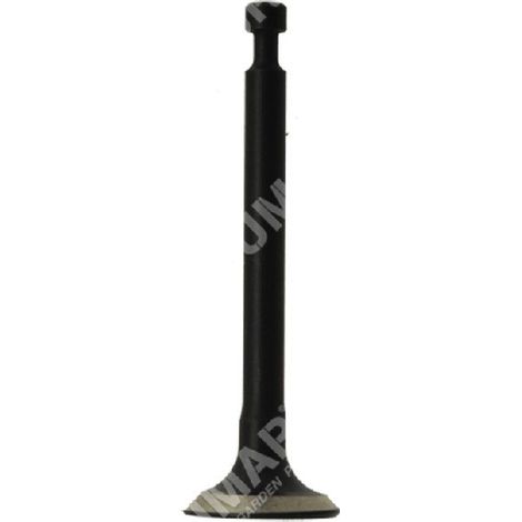 Valvola di aspirazione per decespugliatori GREEN LINE Compatibile - 038553