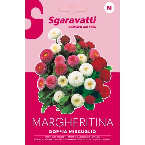 Semi per Prato Universale Margheritine Doppie in Miscuglio 20 Pezzi